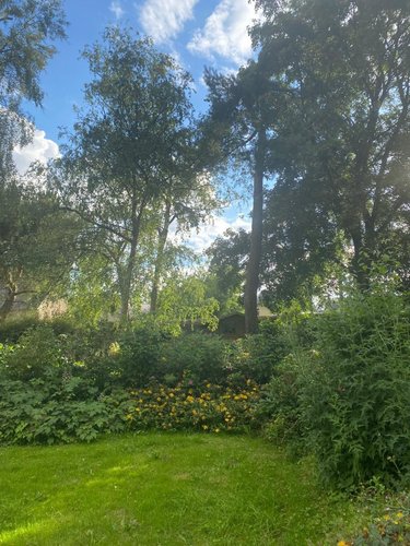 Maison a vendre Parné-sur-Roc 53260 Mayenne 225 m2  351550 euros