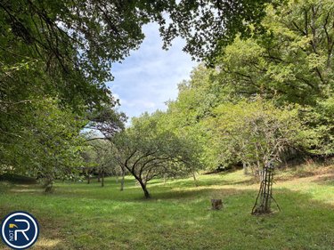 Maison a vendre Argentré 53210 Mayenne 287 m2  322400 euros