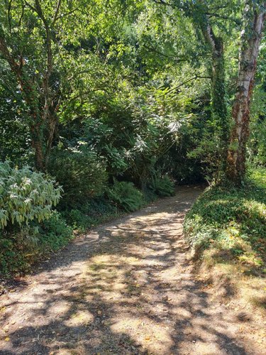 Maison a vendre Rohan 56580 Morbihan 234 m2 7 pièces 306820 euros
