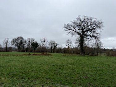 Terrains de loisirs bois etangs a vendre Saint-Aubin-des-Bois 14380 Calvados 76778 m2  82715 euros