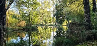 Terrains de loisirs bois etangs a vendre Le Croisty 56540 Morbihan 15350 m2  74400 euros