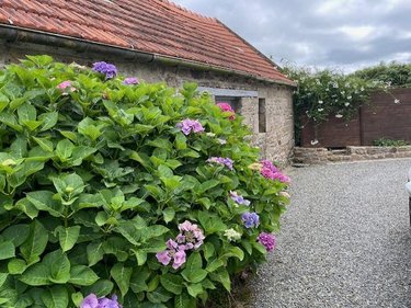 Maison a vendre Plounévez-Lochrist 29430 Finistère 124 m2 5 pièces 248500 euros