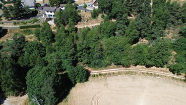 Terrain a batir a vendre Saint-Chély-d'Apcher 48200 Lozère 5194 m2  48000 euros