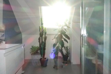 Maison a vendre La Forest-Landerneau 29800 Finistère 150 m2  269300 euros