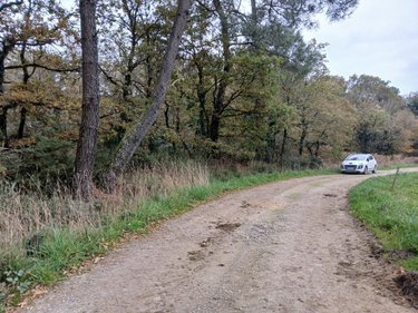 Terrains de loisirs bois etangs a vendre Allaire 56350 Morbihan 7515 m2  9600 euros