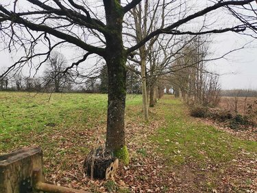 Maison a vendre Saint-Maurice-du-Désert 61600 Orne 176 m2 8 pièces 290500 euros