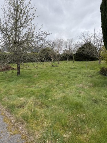 Maison a vendre Elven 56250 Morbihan 143 m2 6 pièces 416900 euros