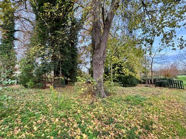 Maison a vendre Fontaines 71150 Saône-et-Loire 109 m2 5 pièces 241500 euros