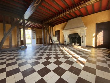 Maison a vendre Pressigny-les-Pins 45290 Loiret 480 m2  850000 euros