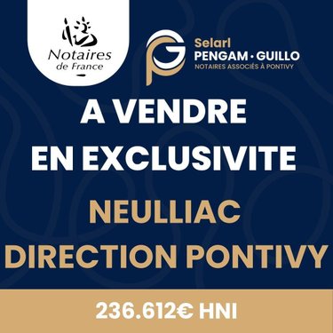 Maison a vendre Neulliac 56300 Morbihan 122 m2 5 pièces 236612 euros