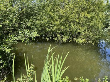 Terrains de loisirs bois etangs a vendre Marolles-les-Braults 72260 Sarthe 3730 m2  21800 euros