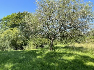 Terrains de loisirs bois etangs a vendre Marolles-les-Braults 72260 Sarthe 3730 m2  21800 euros