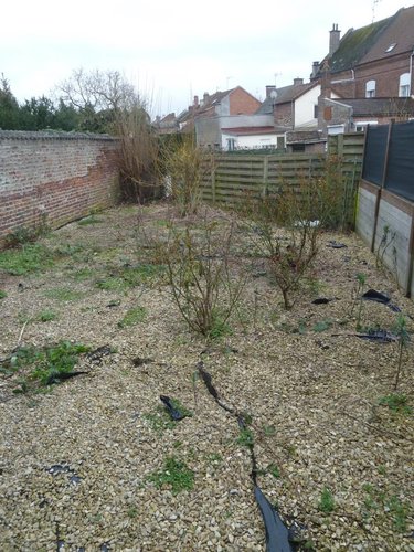 Immeuble a vendre Cambrai 59400 Nord 150 m2  188500 euros