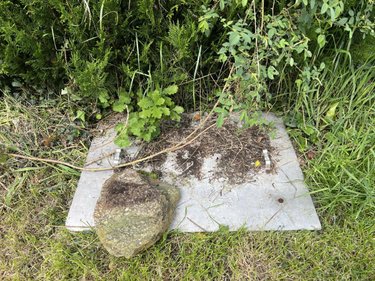 Terrains de loisirs bois etangs a vendre Orée-d'Anjou 49270 Maine-et-Loire 693 m2  18000 euros