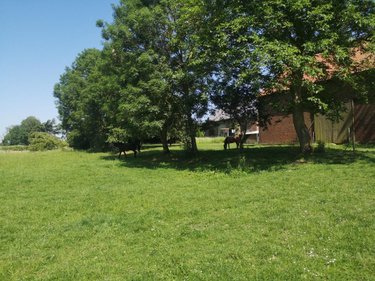 Maison a vendre Honnecourt-sur-Escaut 59266 Nord 202 m2 6 pièces 262000 euros