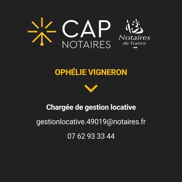 Location appartement Angers 49000 Maine-et-Loire 39 m2  725 euros