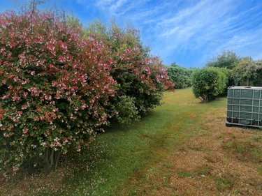 Maison a vendre Taulé 29670 Finistère 162 m2 6 pièces 281340 euros