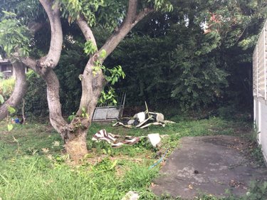 Maison a vendre Les Trois-Îlets 97229 Martinique 90 m2  380000 euros