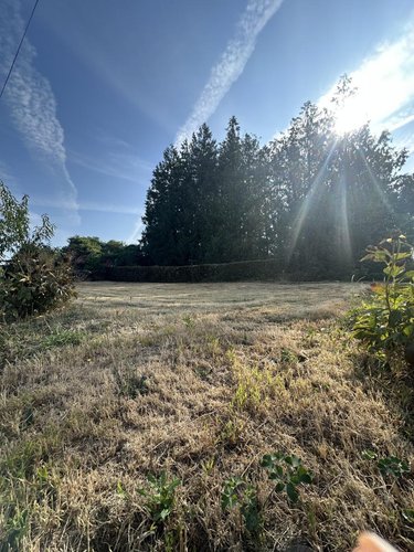 Maison a vendre Languidic 56440 Morbihan 87 m2 3 pièces 158100 euros