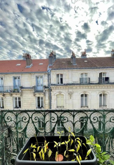 Appartement a vendre Besançon 25000 Doubs 69 m2  200000 euros