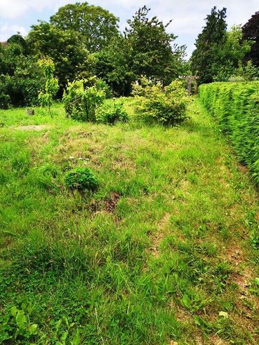 Maison a vendre Bellou-en-Houlme 61220 Orne 110 m2 6 pièces 85500 euros