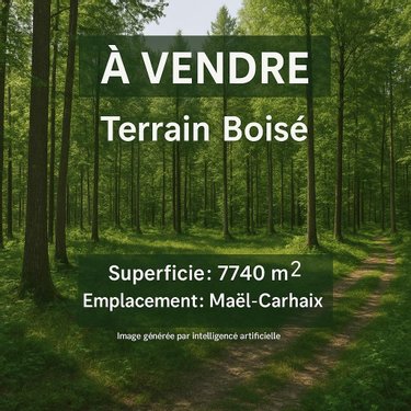 Terrains de loisirs bois etangs a vendre Maël-Carhaix 22340 Côtes-d'Armor 7740 m2  7000 euros