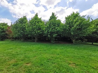Maison a vendre Bapaume 62450 Pas-de-Calais 232 m2 6 pièces 1100000 euros