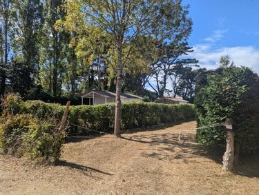 Terrains de loisirs bois etangs a vendre Assérac 44410 Loire-Atlantique 1400 m2  42000 euros