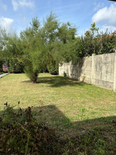 Maison a vendre Achicourt 62217 Pas-de-Calais 87 m2 3 pièces 153600 euros