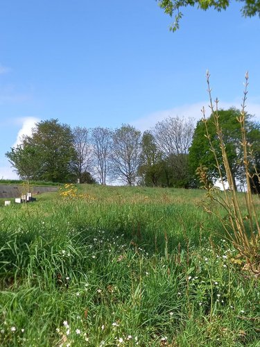 Terrain a batir a vendre Camors 56330 Morbihan 910 m2  76860 euros