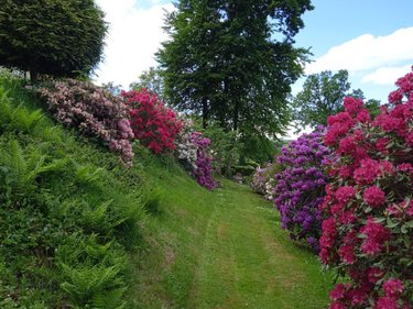 Maison a vendre Bagnoles-de-l'Orne-Normandie 61140 Orne 164 m2  234000 euros