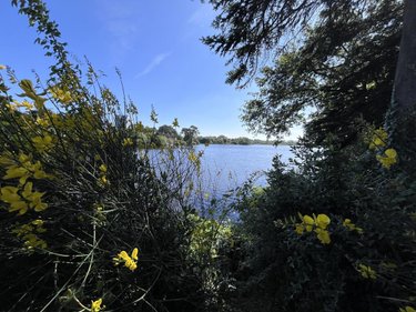 Maison a vendre Theix-Noyalo 56450 Morbihan 120 m2 5 pièces 299250 euros