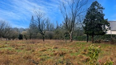 Terrain a batir a vendre La Trinité 50800 Manche 1771 m2  22352 euros