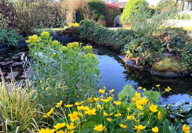 Maison a vendre Montigny 76380 Seine-Maritime 214 m2 7 pièces 460000 euros