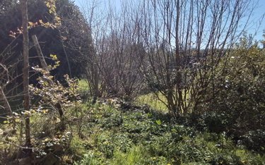 Maison a vendre Guémené-sur-Scorff 56160 Morbihan 130 m2 5 pièces 100530 euros