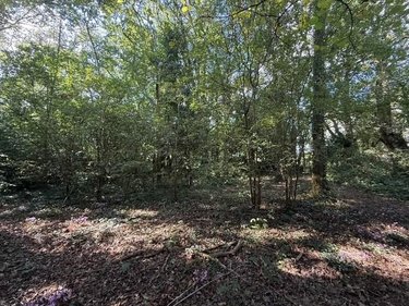 Terrain a batir a vendre Bouchemaine 49080 Maine-et-Loire 3365 m2  419200 euros