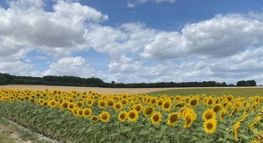 Maison a vendre Chezelles 37220 Indre-et-Loire 141 m2 5 pièces 169600 euros