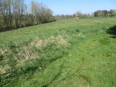 Maison a vendre Mesnil-Clinchamps 14380 Calvados 200 m2 7 pièces 263700 euros
