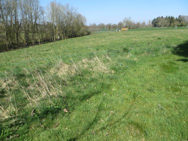 Maison a vendre Mesnil-Clinchamps 14380 Calvados 200 m2 7 pièces 242650 euros