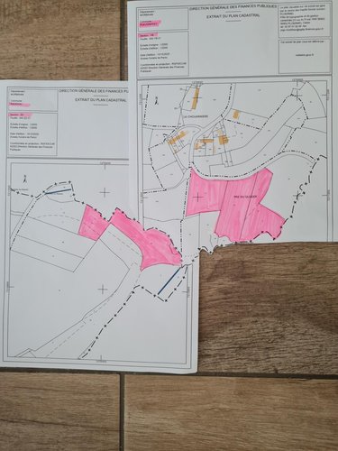 Terrains de loisirs bois etangs a vendre Pleugriffet 56120 Morbihan 28767 m2  11605 euros
