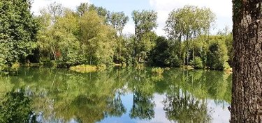 Terrains de loisirs bois etangs a vendre Le Croisty 56540 Morbihan 15350 m2  74400 euros