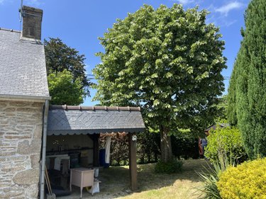 Maison a vendre Bégard 22140 Côtes-d'Armor 63 m2 3 pièces 149120 euros