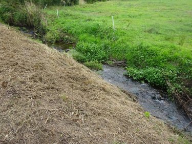 Divers a vendre Plouzané 29280 Finistère 1 m2  208400 euros