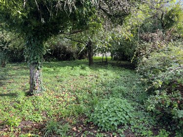 Maison a vendre Neuville-sur-Ain 01160 Ain 160 m2 8 pièces 140000 euros