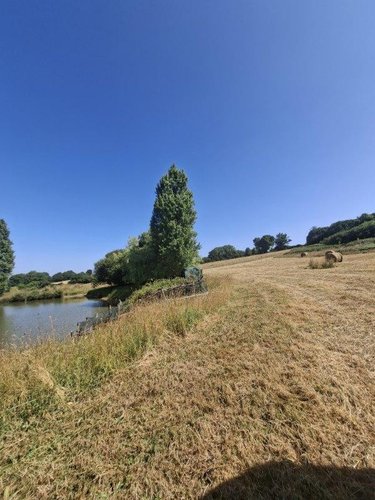 Terrains de loisirs bois etangs a vendre Thorigné-en-Charnie 53270 Mayenne 21918 m2  24760 euros