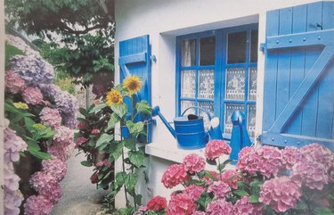 Maison a vendre Île-aux-Moines 56780 Morbihan 61 m2 4 pièces 396100 euros