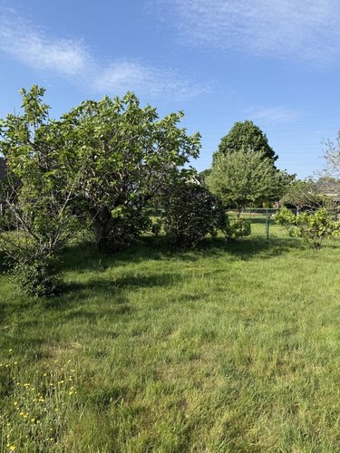 Maison a vendre Saint-Avé 56890 Morbihan 148 m2 5 pièces 536000 euros