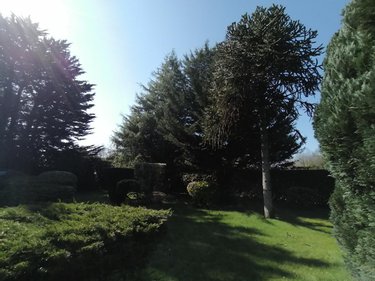 Maison a vendre Yvias 22930 Côtes-d'Armor 74 m2  169000 euros
