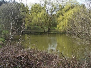 Terrains de loisirs bois etangs a vendre Nuillé-sur-Vicoin 53970 Mayenne 20089 m2  126300 euros