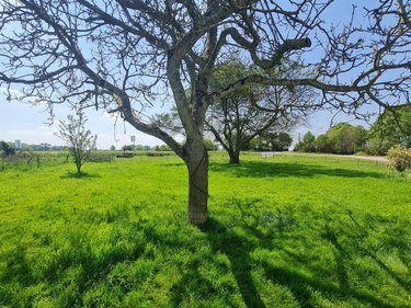 Maison a vendre Pleugriffet 56120 Morbihan 150 m2 7 pièces 141060 euros